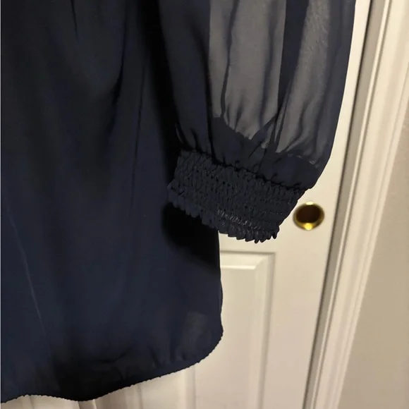 Ann Taylor Navy Sheer Blouse - Picture 3 of 10
